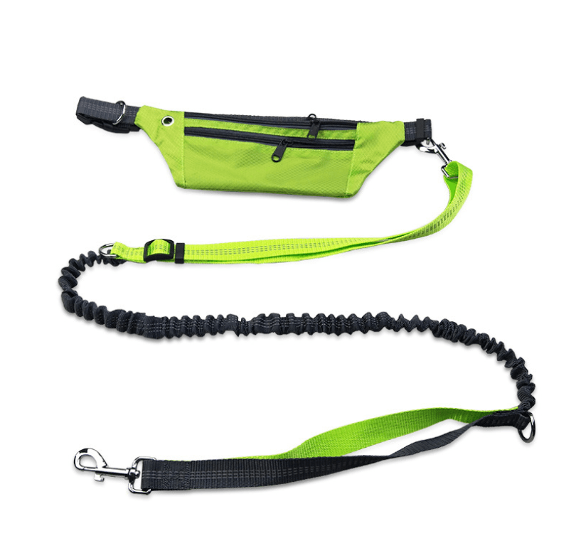 Hands-Free Dog Leash: The Ultimate Freedom For Active Dog Owners-8