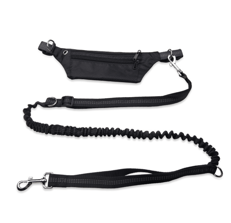 Hands-Free Dog Leash: The Ultimate Freedom For Active Dog Owners-10