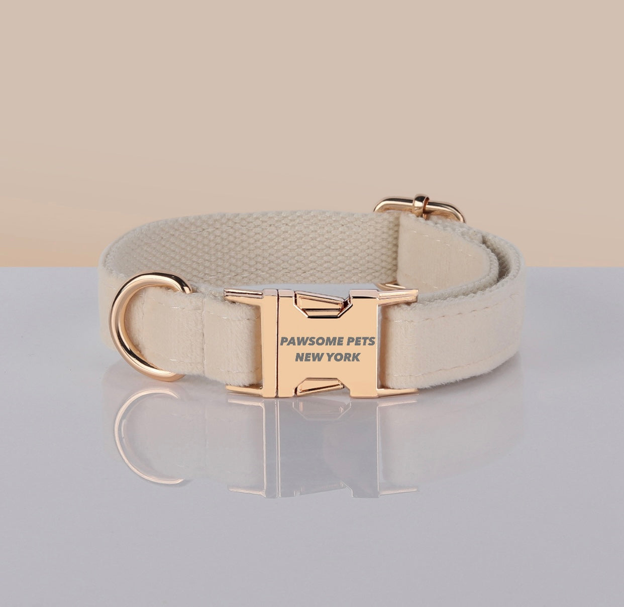 PAWSOME DOG COLLAR - #24-0